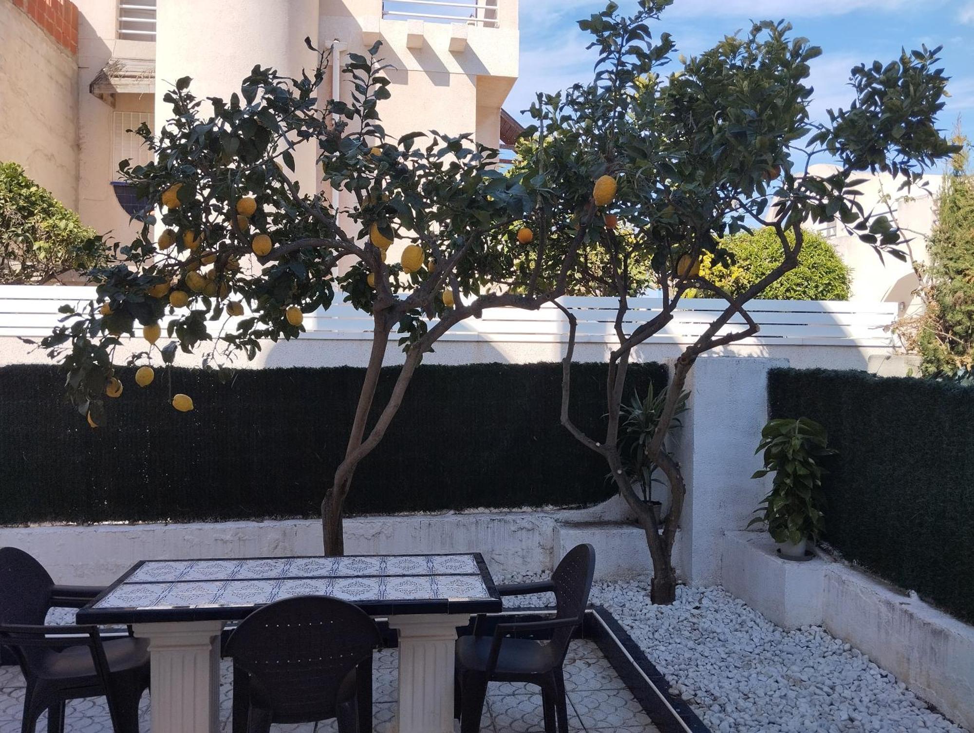 Z&R - Alcyone Villa Torrevieja Buitenkant foto
